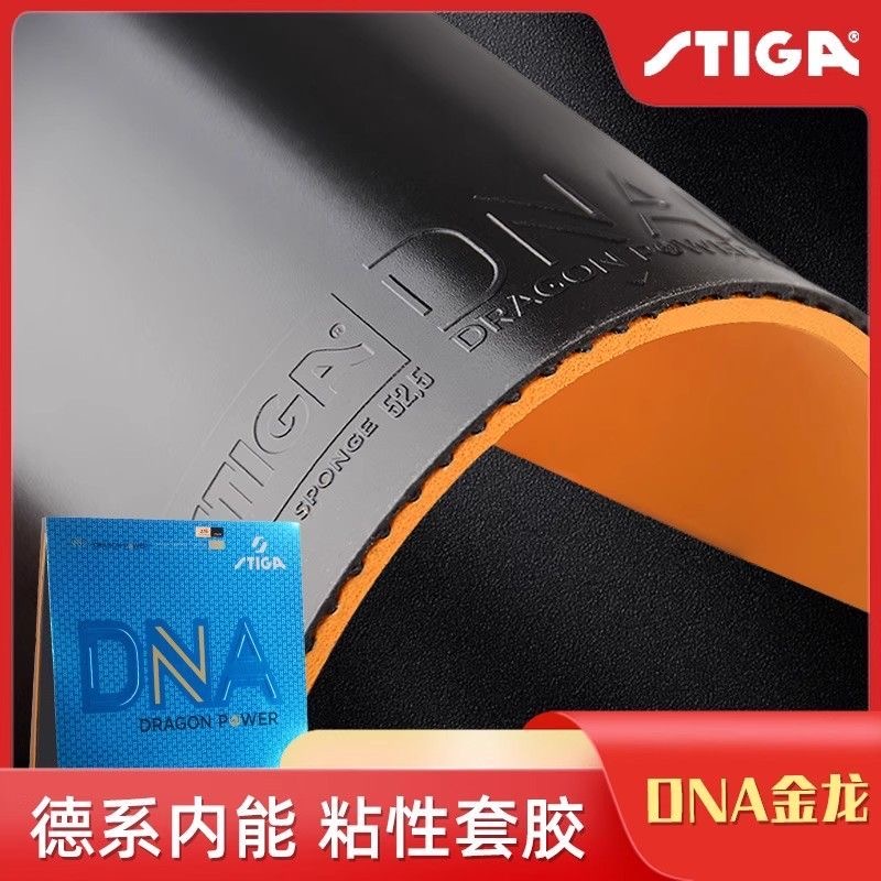 Table Tennis Padel - STIGA DNA DRAGON POWER Table Tennis