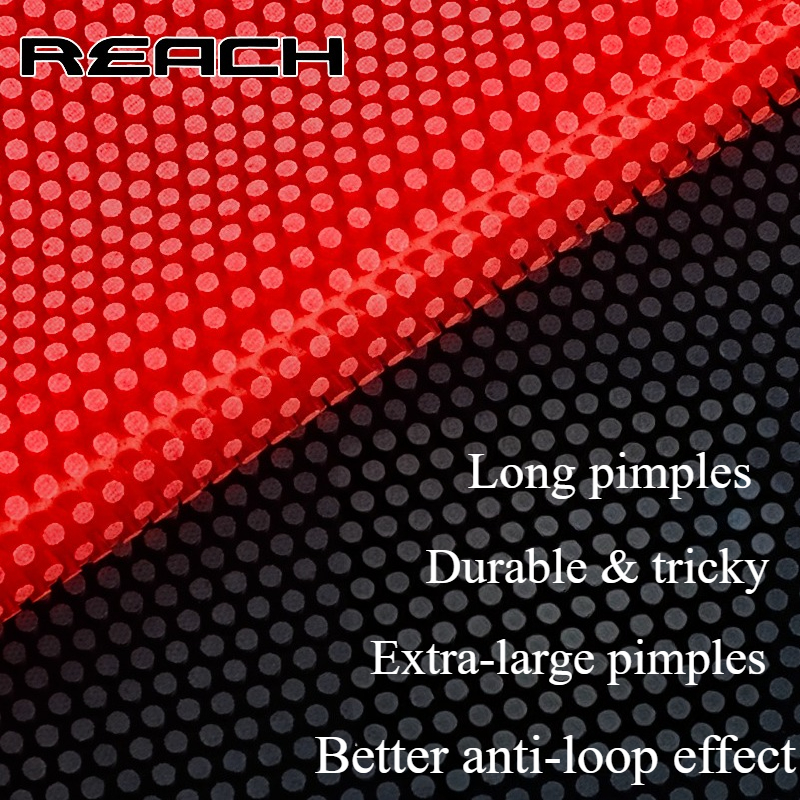 Reach C-8 C-801 Table-tennis R - огляд і ціна Table Tennis Height