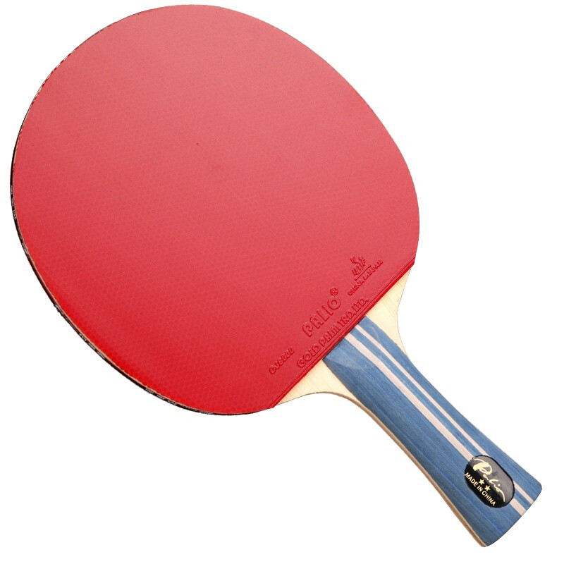 Original PALIO 2 Stars Table T - огляд і ціна Table Tennis Padel