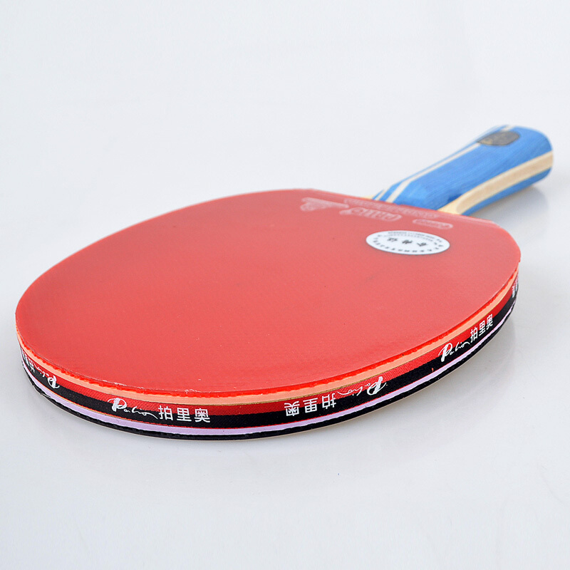 Original PALIO 2 Stars Table T - огляд і ціна Table Tennis Padel