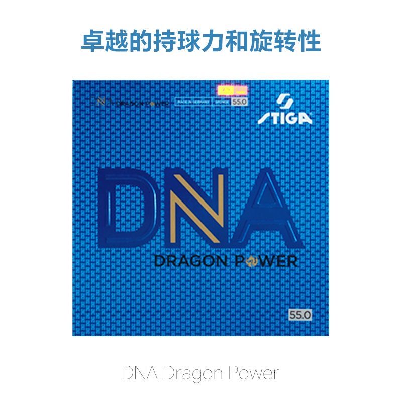 STIGA DNA DRAGON POWER Table T - огляд і ціна Table Tennis Padel