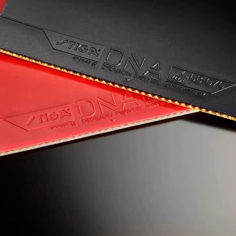 STIGA DNA DRAGON POWER Table T - огляд і ціна Table Tennis Padel